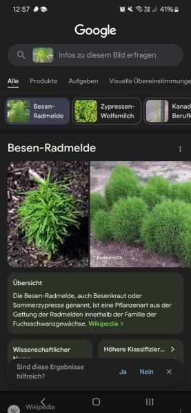 Bild zu 
