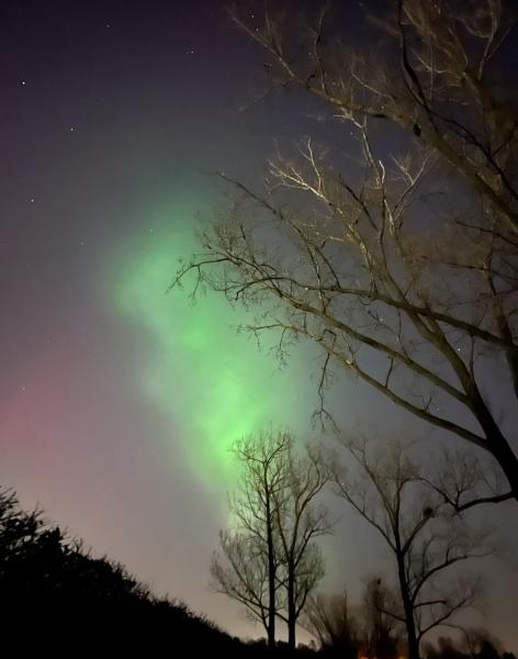 Bild zu Mal was Positives - Nordlichter - Aktuelles