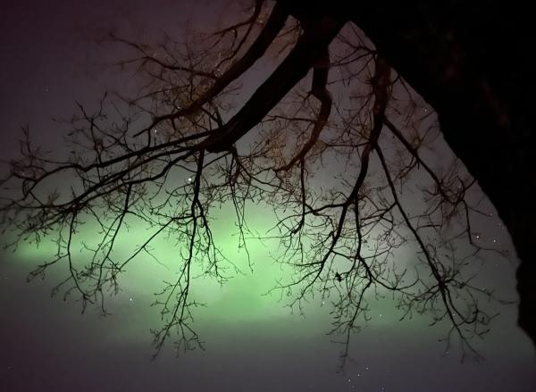 Bild zu Mal was Positives - Nordlichter - Aktuelles