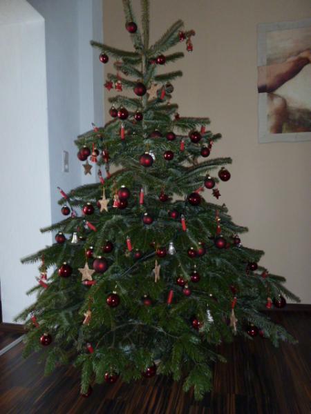 Bild zu 