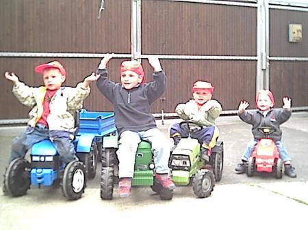 Bild zu