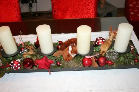 Bild zu 