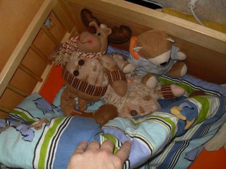 Bild zu