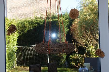 Bild zu