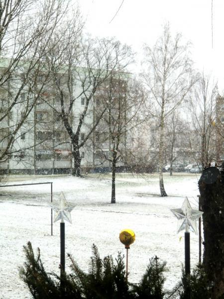 Bild zu 