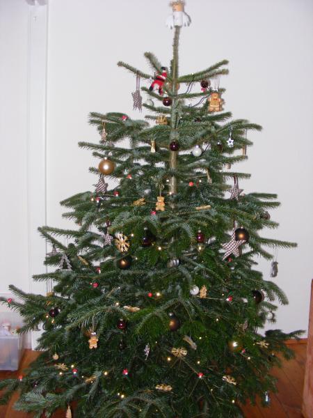 Bild zu