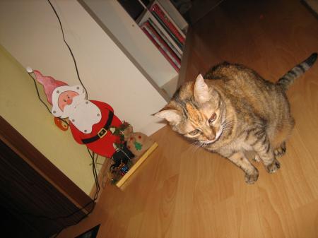 Bild zu 