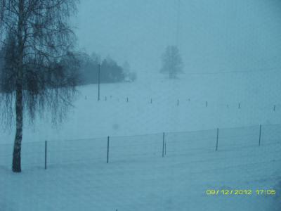 Bild zu ein paar winterliche impressionen - Weihnachten