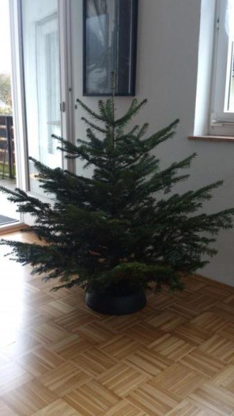 Bild zu Jetzt will ich auch mal... - Weihnachten