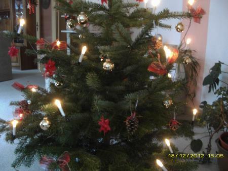 Bild zu 