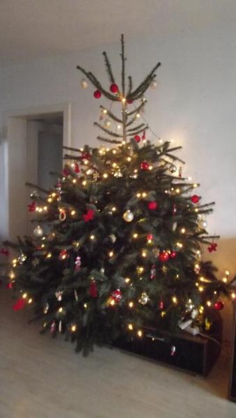Bild zu Nun ist er geschmückt ... - Weihnachten