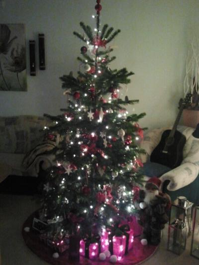 Bild zu So jetzt aber:Darf ich vorstellen-hier ist unser Baum - Weihnachten