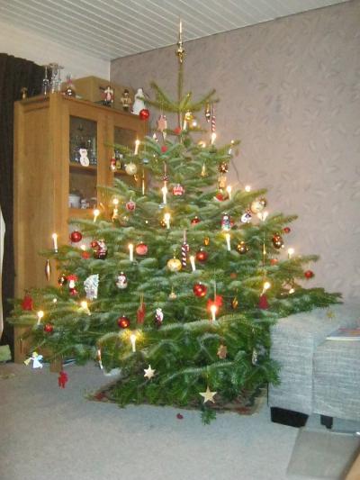 Bild zu Hier ist unser Weihnachtsbaum - Weihnachten
