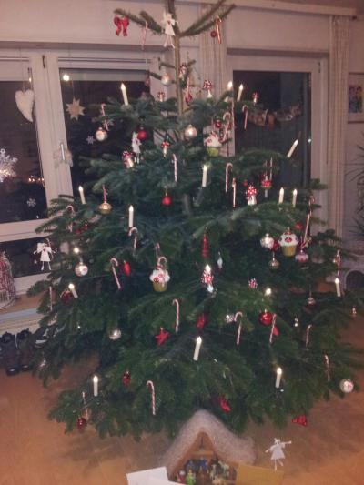 Bild zu Bilder vom Baum und ich möcht eure Bäume sehn - Weihnachten