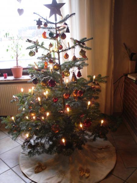 Bild zu 
