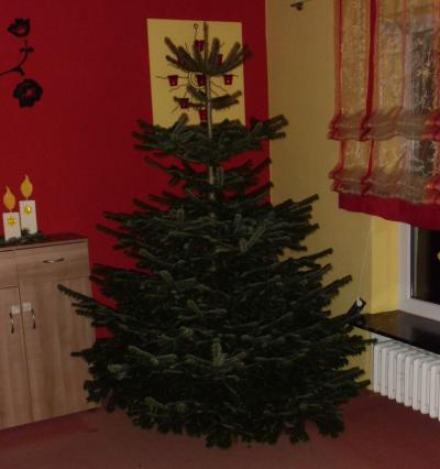 Bild zu so und jetzt kommt auch noch unser Baum ....der Tussibaum ;-) ...vorher - Weihnachten