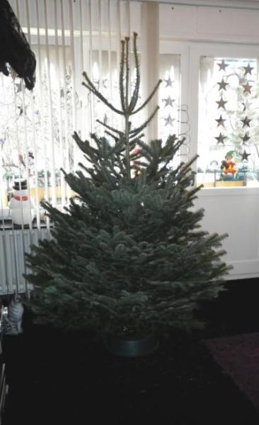 Bild zu unser bäumlein Jari - Weihnachten