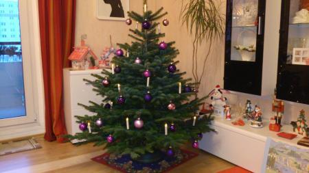 Bild zu 