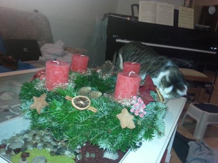 Bild zu 