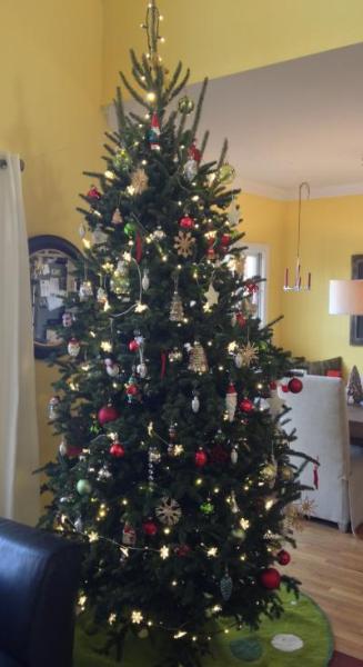 Bild zu der baum steht - Weihnachten