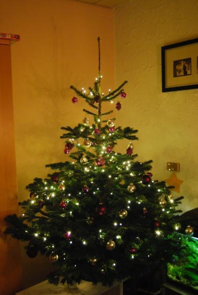 Bild zu Fertisch :-) - Weihnachten