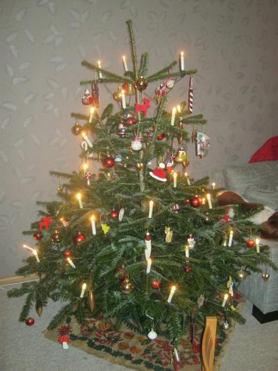 Bild zu Baum ist fertig... - Weihnachten