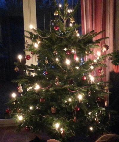 Bild zu Unser Weihnachtsbaum... - Weihnachten