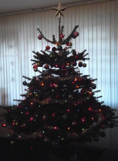 Bild zu Kind ist seelig..unser amerikanischer Baum - Weihnachten