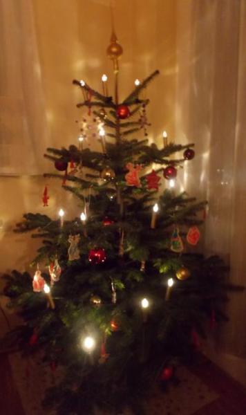 Bild zu Unser Bäumchen!!! - Weihnachten