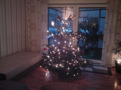 Bild zu Will auch - Weihnachten