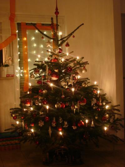 Bild zu Unser Christbaum - Weihnachten
