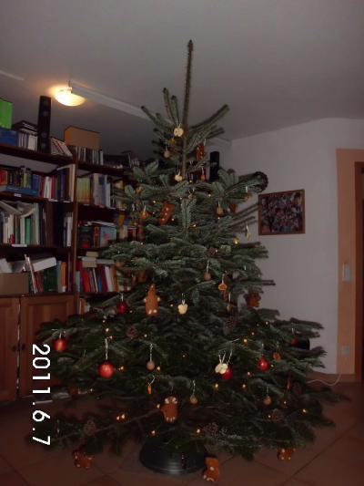 Bild zu Zeig auch mal unseren Baum....mal ganz natürlich - Weihnachten