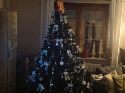 Bild zu Unser Baum ganz in weiss.... - Weihnachten