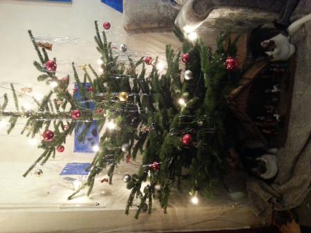 Bild zu 