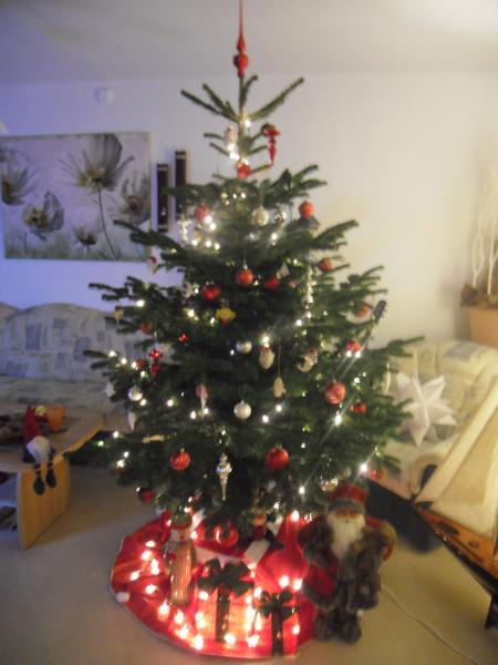 Bild zu 