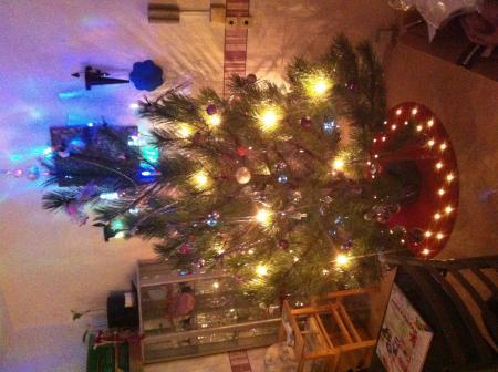 Bild zu