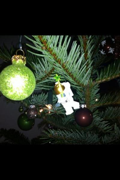 Bild zu