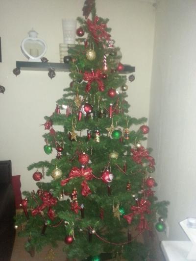 Bild zu Unser Baum - Weihnachten