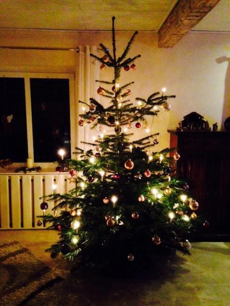 Bild zu 