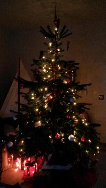 Bild zu Möchte auch mal unseren Weihnachtsbaum zeigen! - Weihnachten