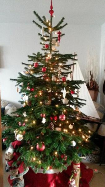 Bild zu 