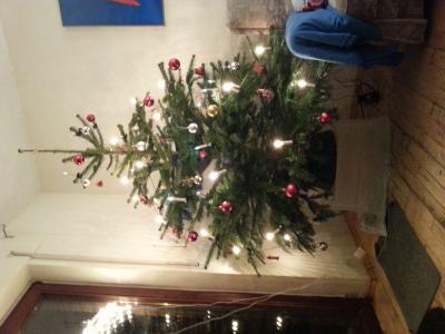 Bild zu unser Weihnachtsbaum - Weihnachten