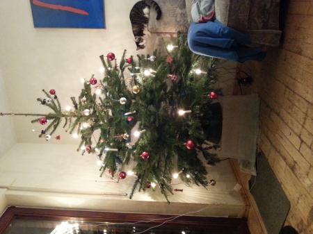 Bild zu 