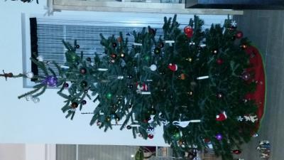 Bild zu Unsere Baum ist auch fertig! - Weihnachten