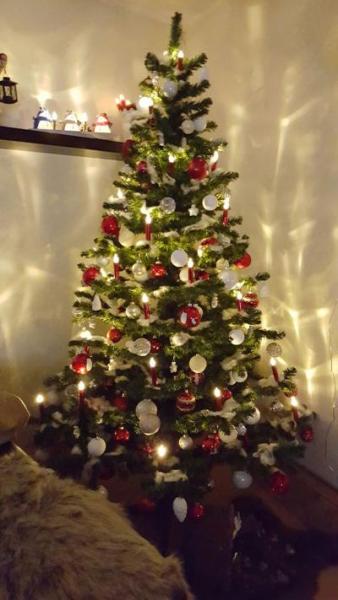 Bild zu unser Bäumchen - Weihnachten
