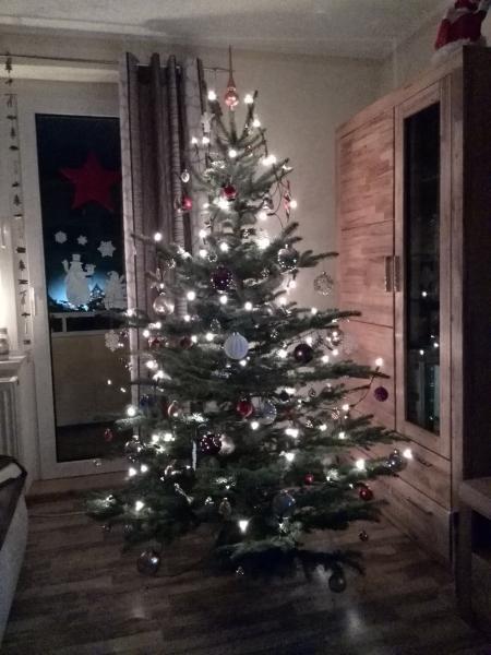 Bild zu