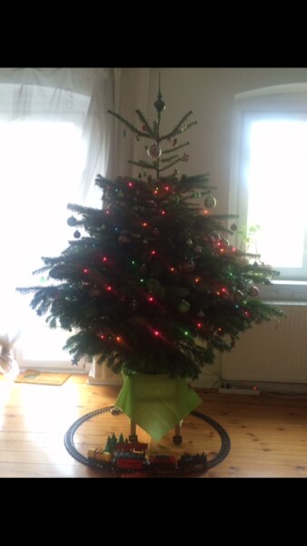 Bild zu