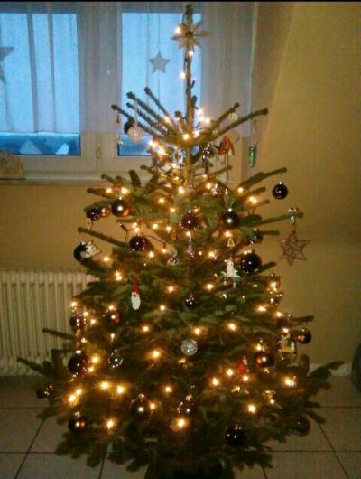Bild zu unser Baum - Weihnachten