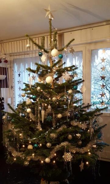 Bild zu unser Baum dieses Jahr - Weihnachten