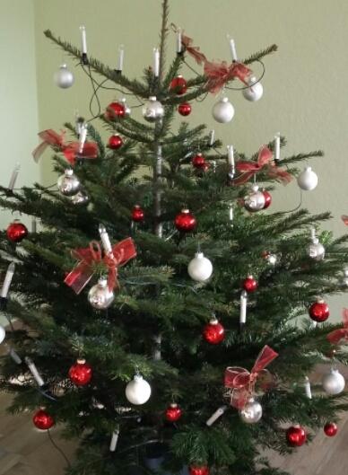 Bild zu Unser baum - Weihnachten